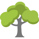 Kingwood Tree Removal